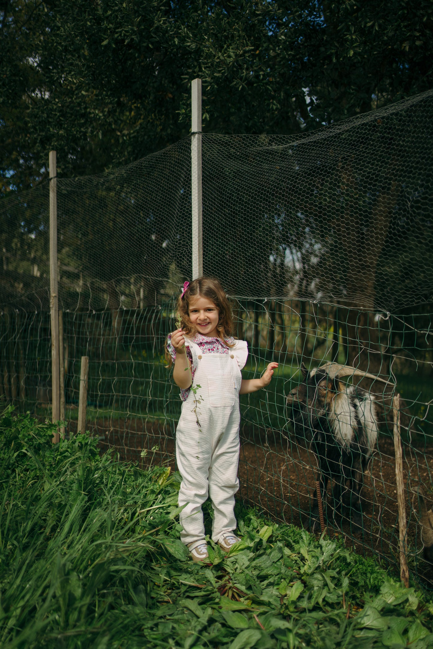 Amélia Rosa Overalls