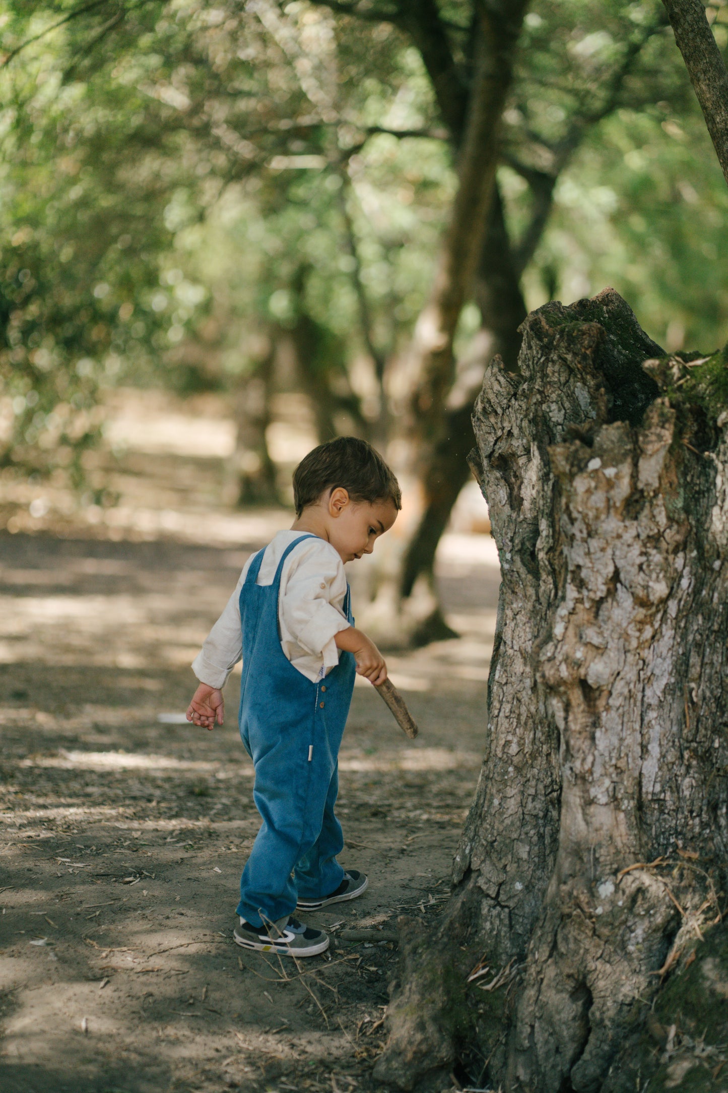 Benjamin blue overalls
