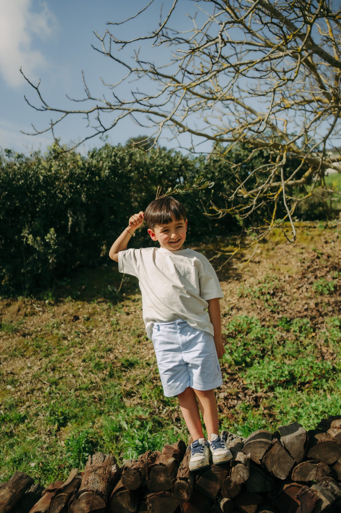 Artur Shorts mit Streifen