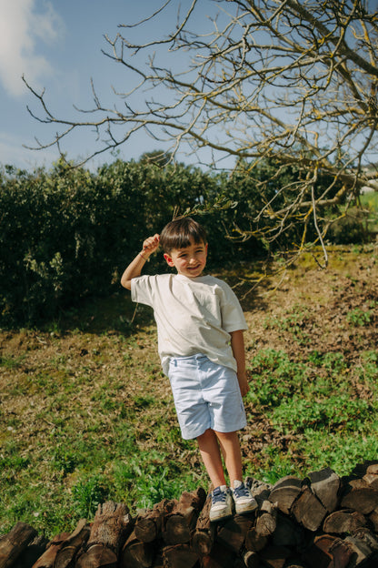 Artur Shorts mit Streifen
