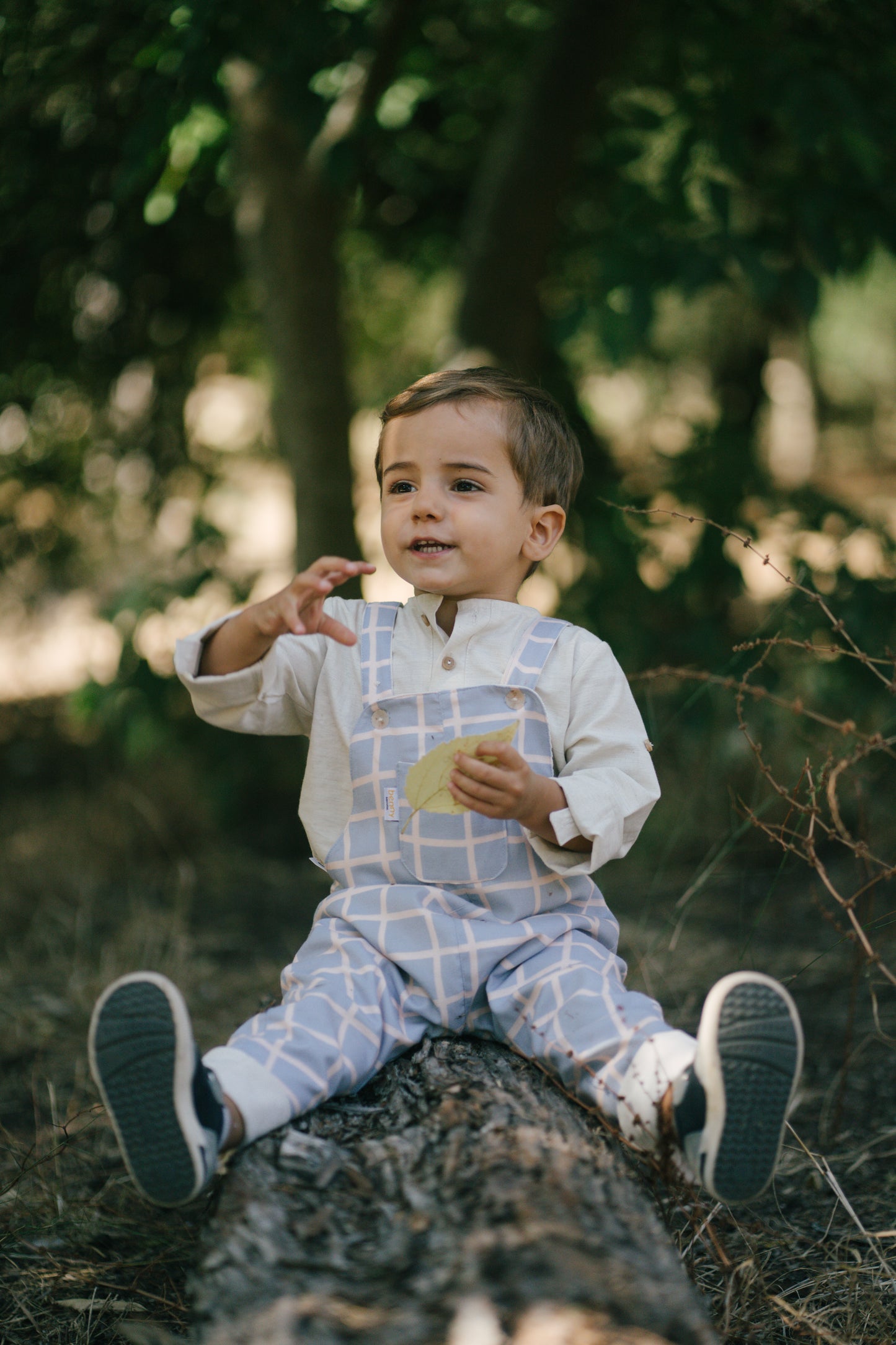 Benjamin blue Overalls (Reversible)