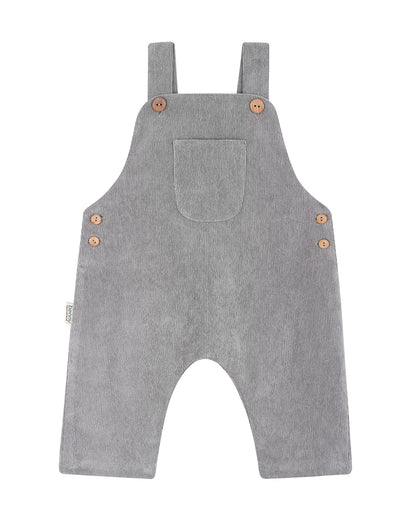 Benjamin grey Overalls